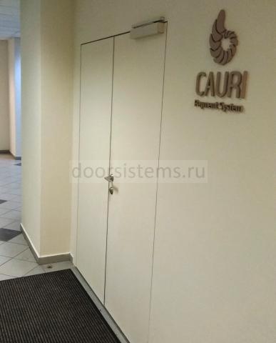 Доводчик DORMA (dormakaba) TS-97 в офисе Cauri